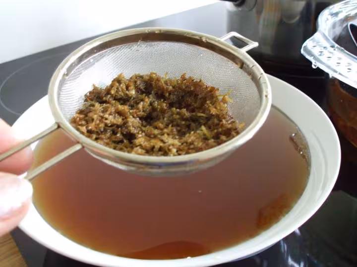 Sirop sureau 2