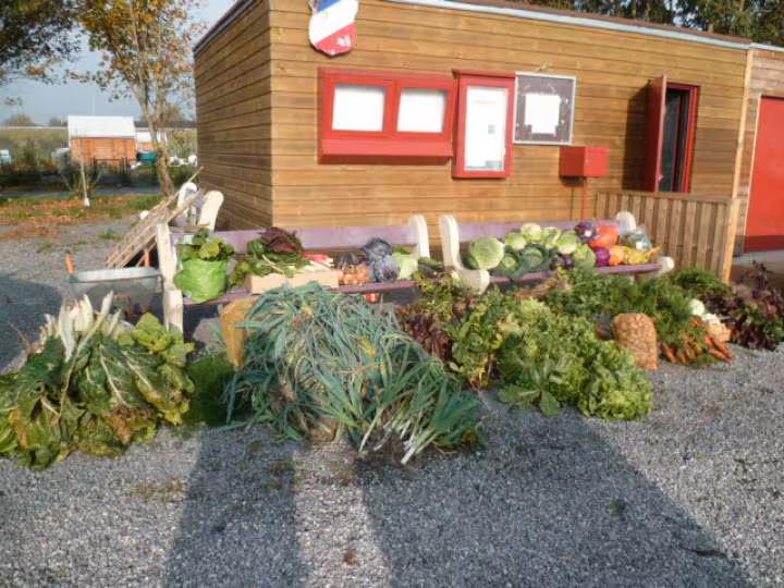 Colecte aupres des jardiniers