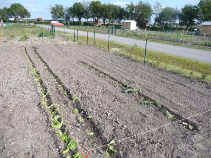 Mon jardin