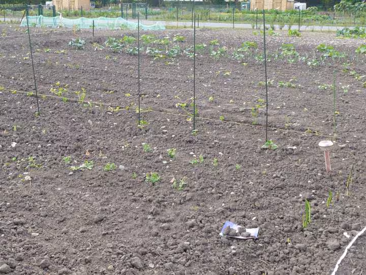 Mon jardin