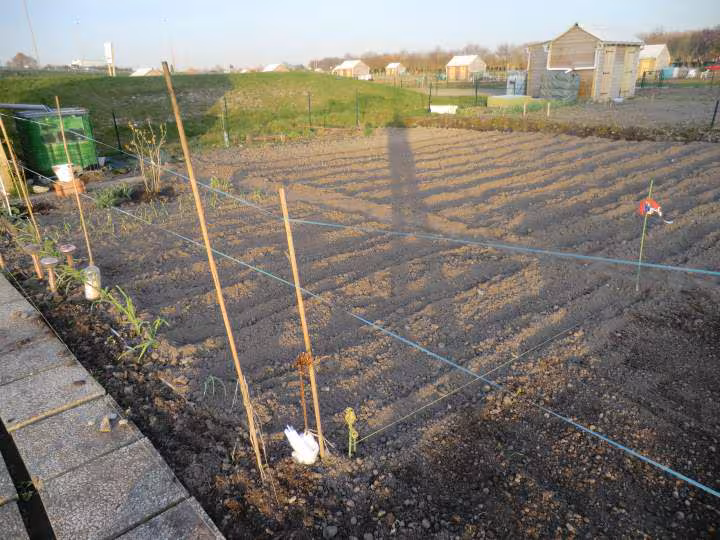 Mon jardin