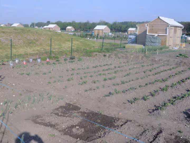 Mon jardin