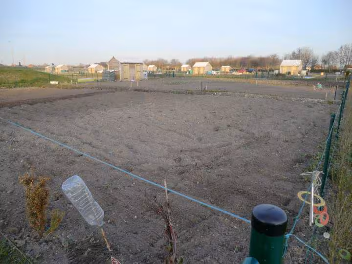 Mon jardin