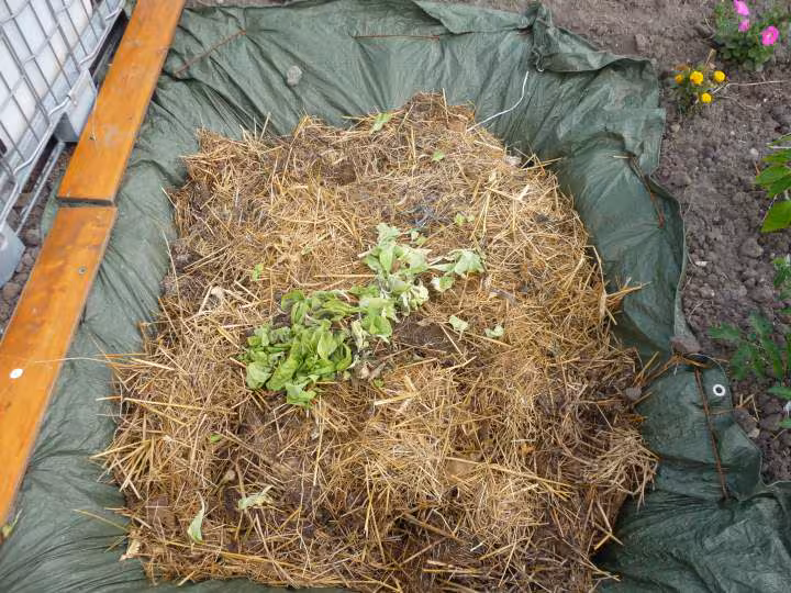 Mon tas de futur compost