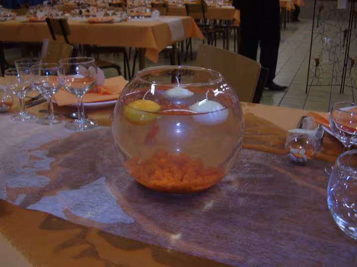 Mariage orange beige amp poisson poissons