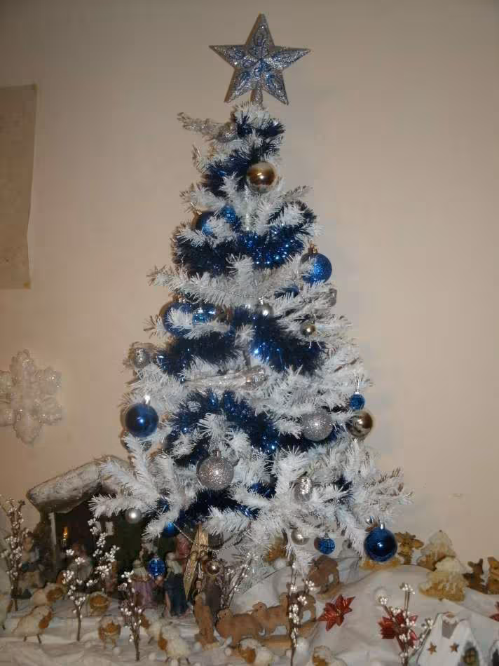Mon sapin