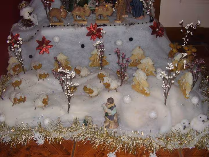 Noel 2010