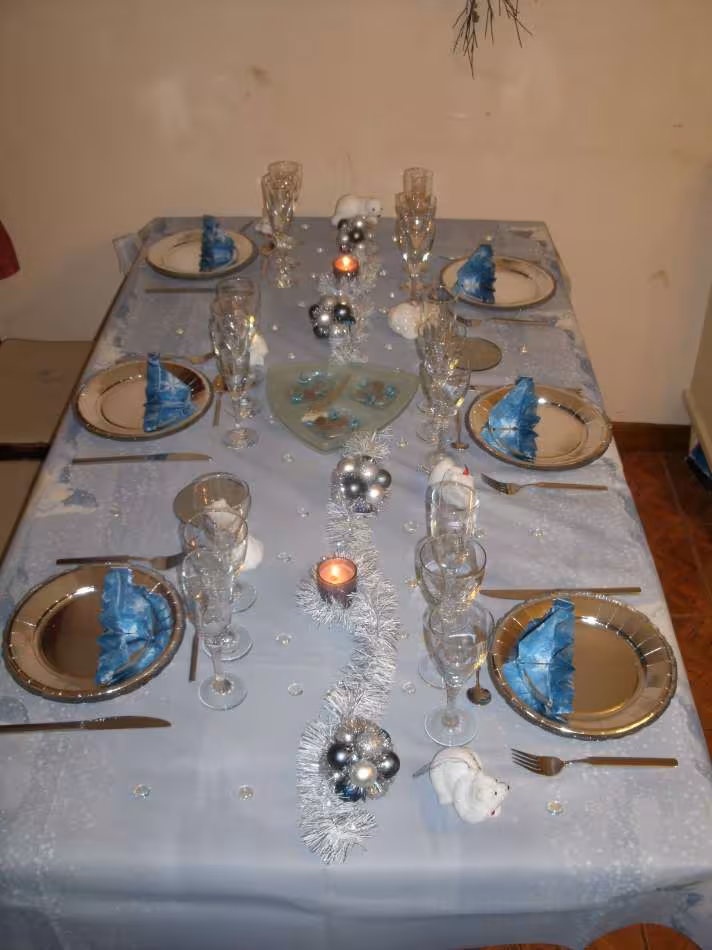 Ours polaires vue ensemble