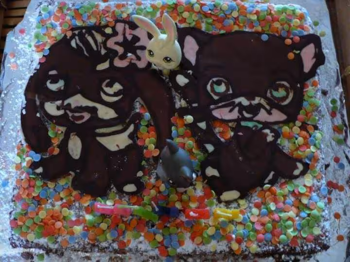 Photo gateau petshop