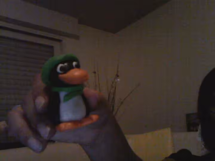 Pingouin noel