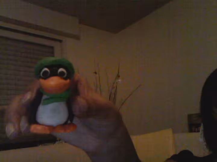 Pingouin noel 2