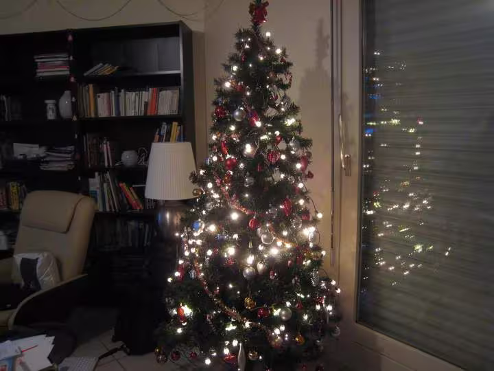 Sapin