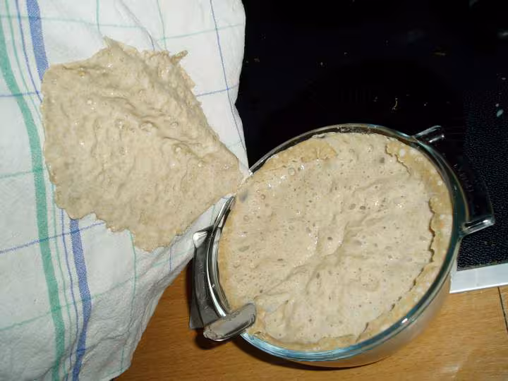 Levain1