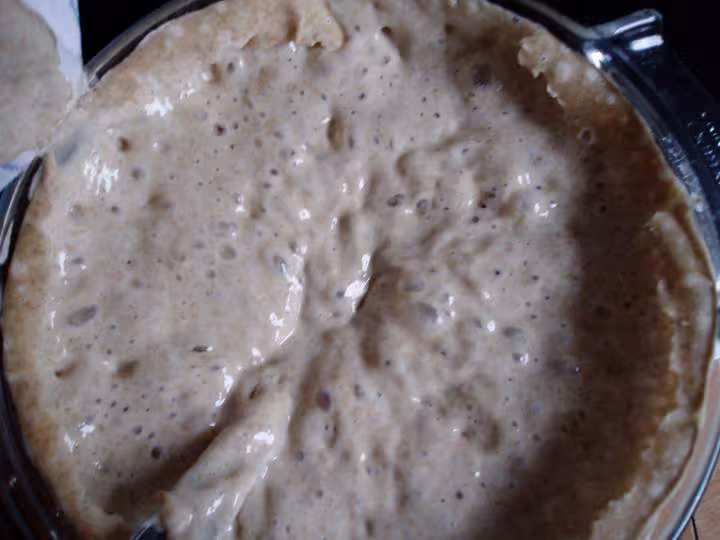 Levain2