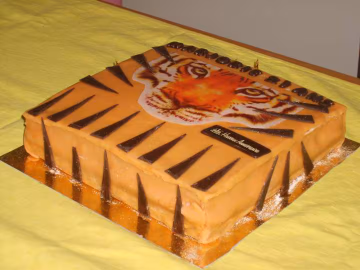 Tigre2