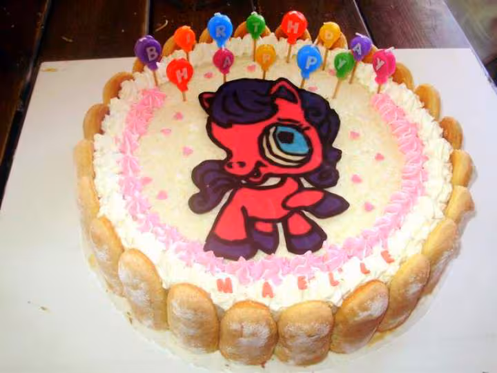 Gateau petshop