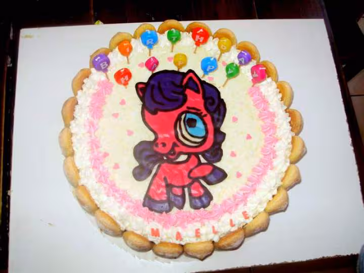 Gateau petshop