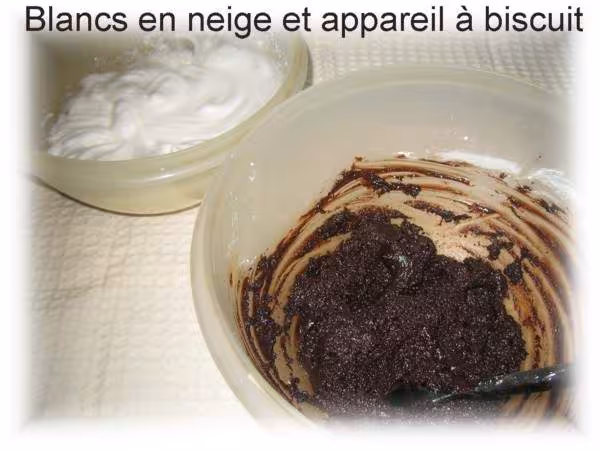 Blancs en neige et appareil a biscuit chocolat