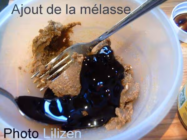 Cookies a la melasse p0