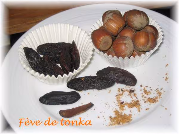 Feve de tonka