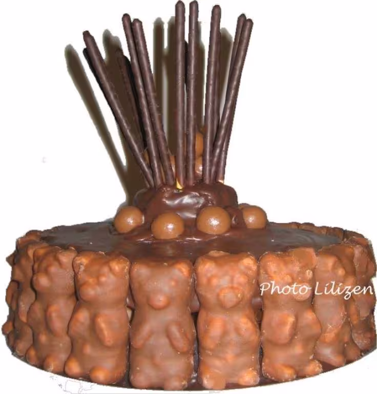 Idee deco gateau fondant chocolat nappage oursons guimauve et mikados