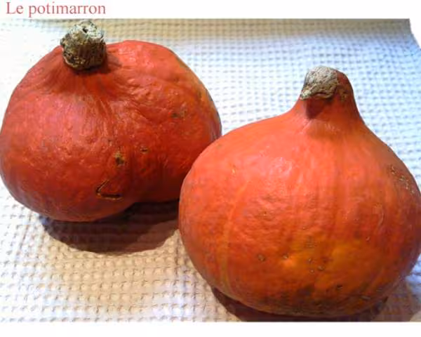 Le potimarron