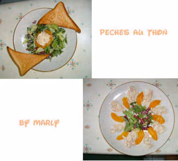 Peches au thon 2