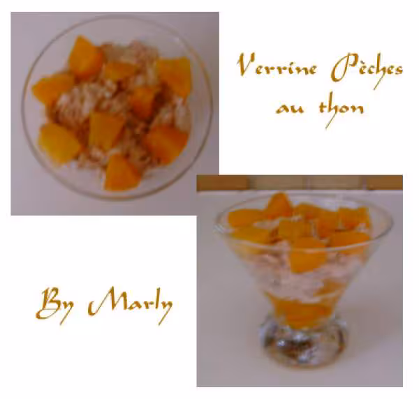 Peches au thon1