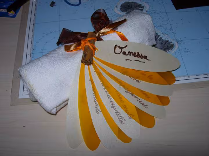 Presentation serviette et menu