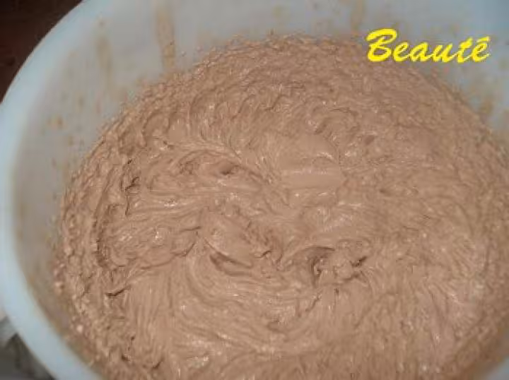 Delice au chocolat