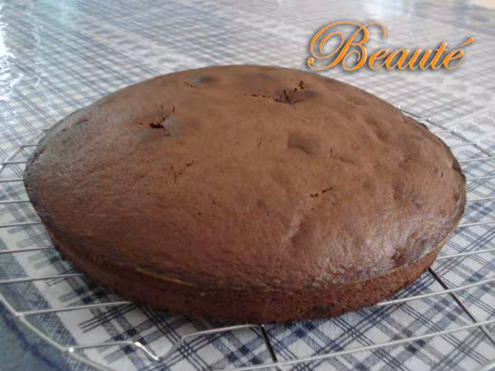 Gateau moelleux au chocolat
