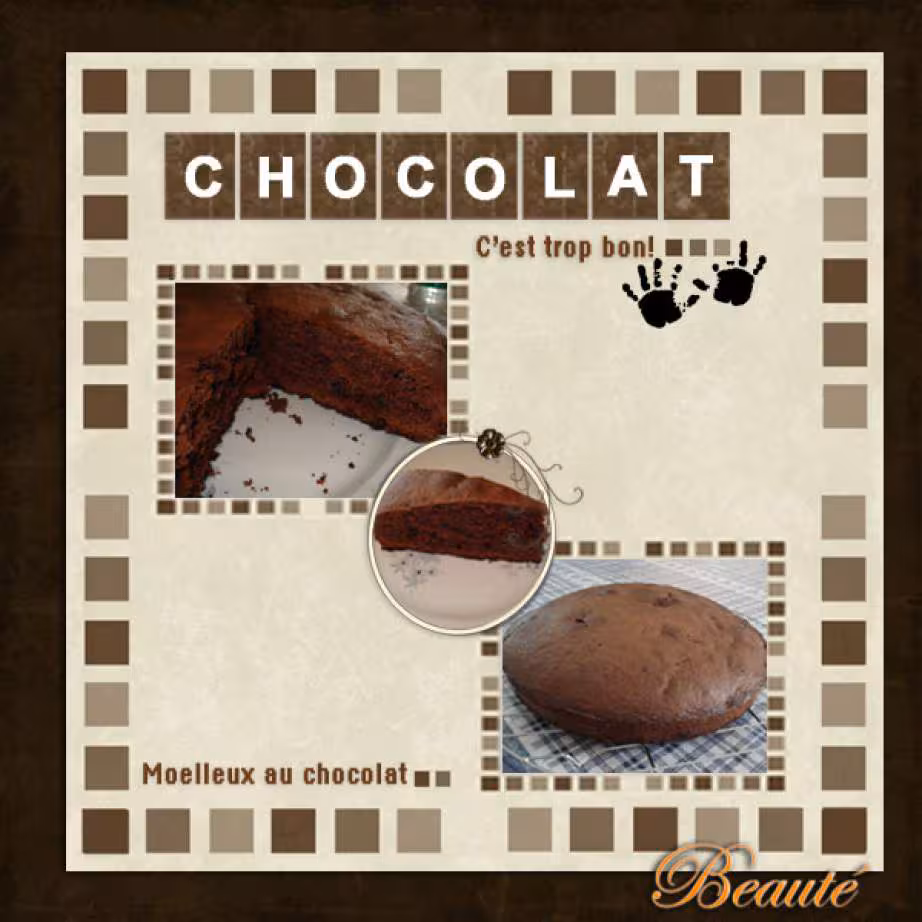 Gateau moelleux au chocolat