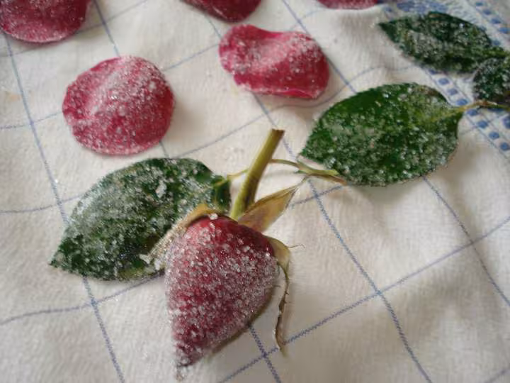 Petales de roses cristallises