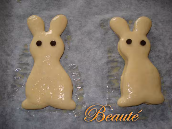 Petits lapins