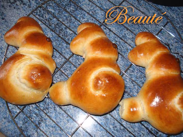 Petits lapins