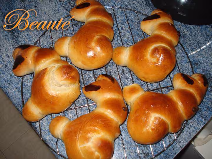 Petits lapins
