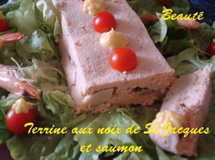 Terrine aux noix de st jacques et saumon