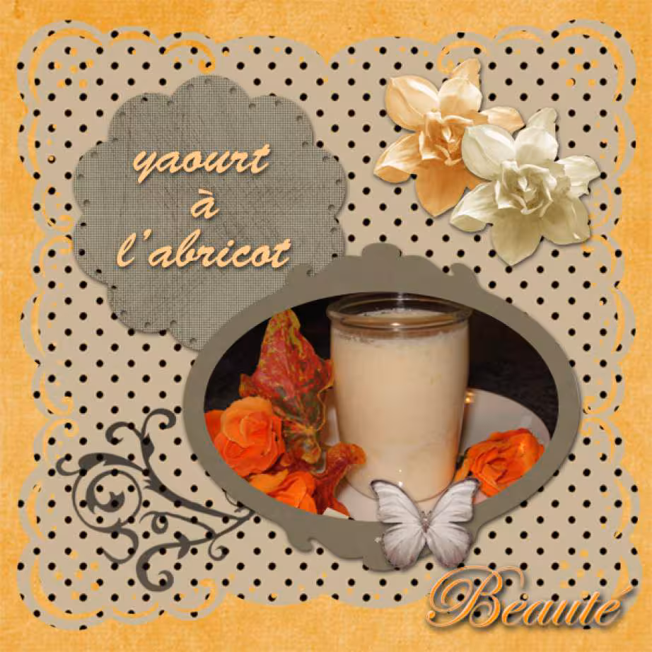 Yaourt a l abricot