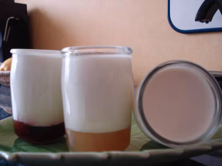 Yaourt a la confiture de pommes