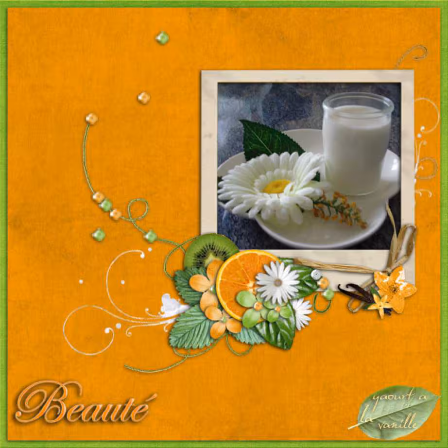 Yaourt a la vanille bourbon