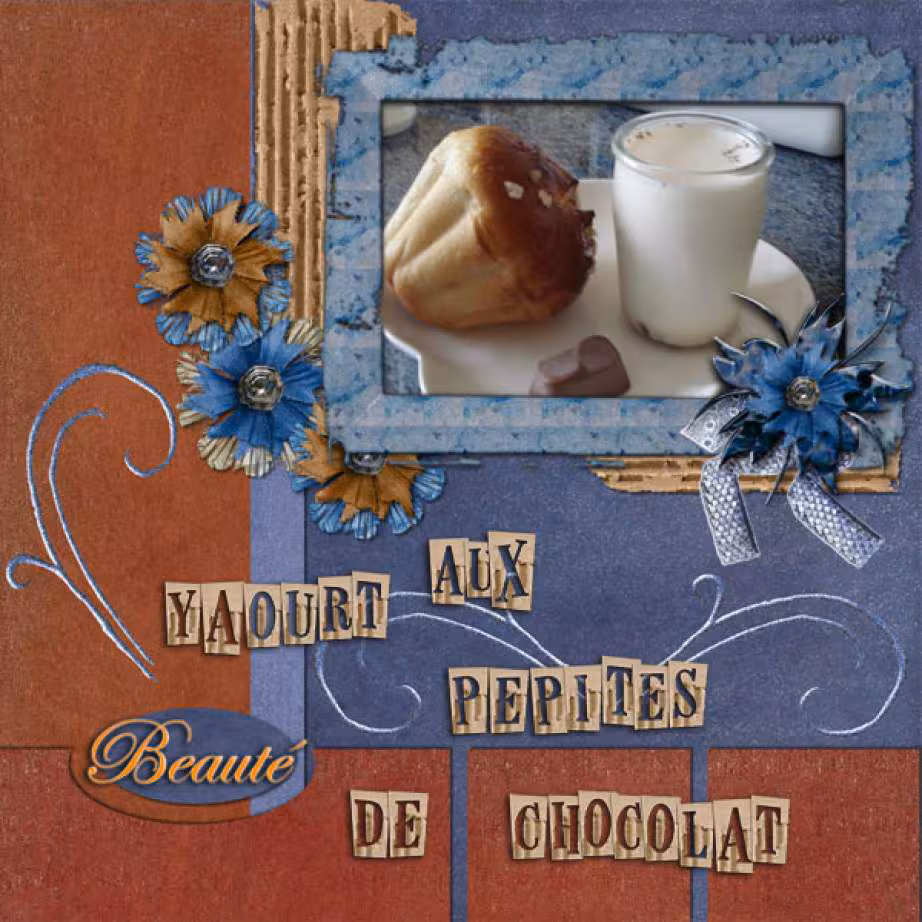 Yaourts aux pepites de chocolat