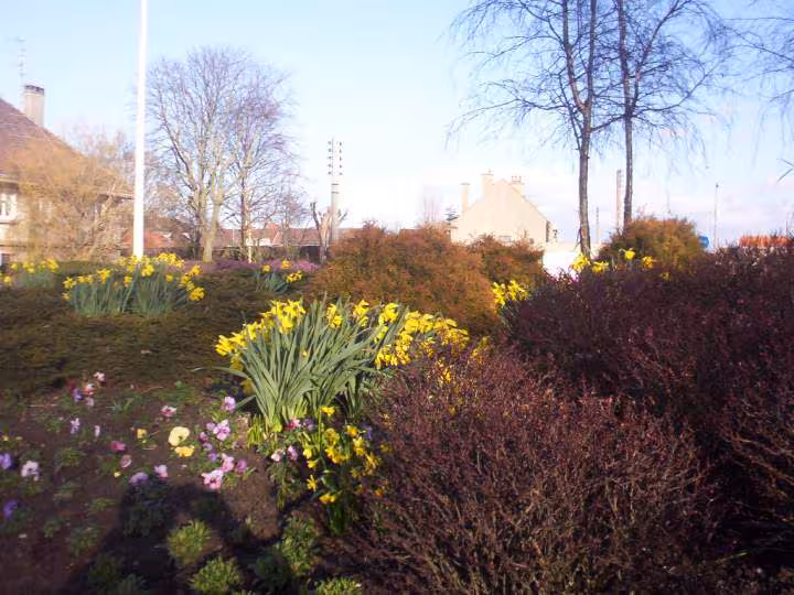 Un rond point de calais