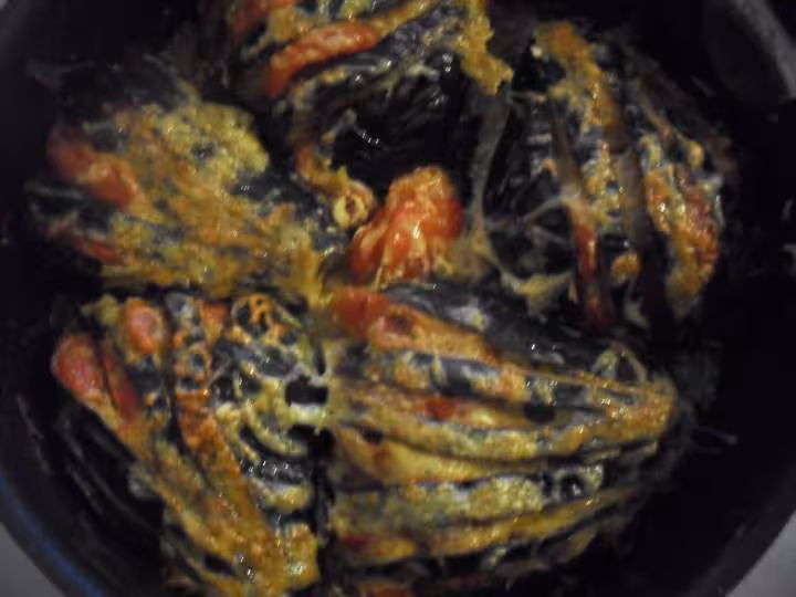 Aubergine en eventail