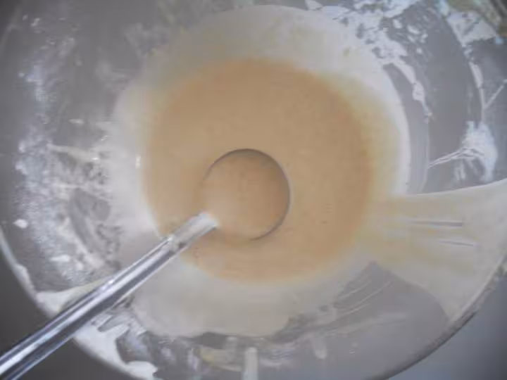 Levain liquide kayser