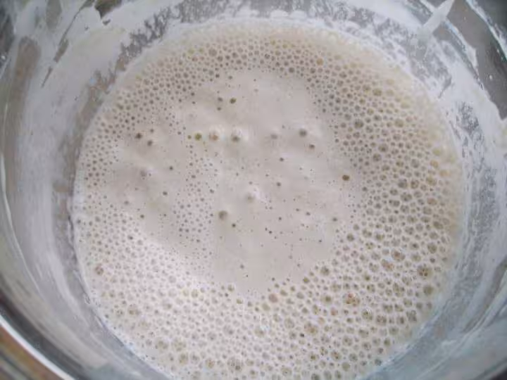 Levain liquide