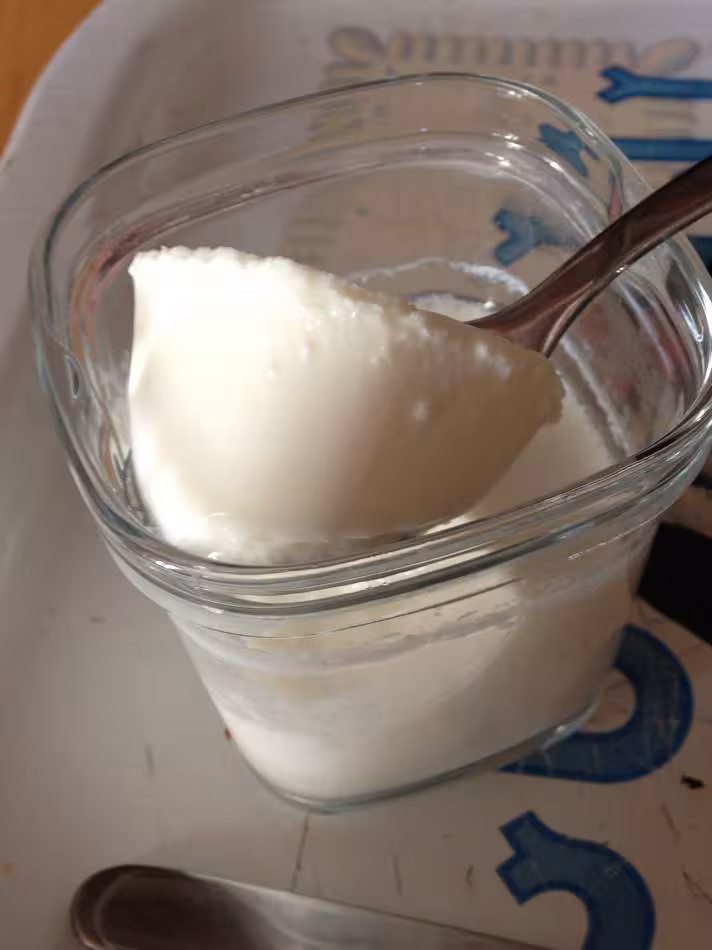 Yaourt avec ferments p rim s