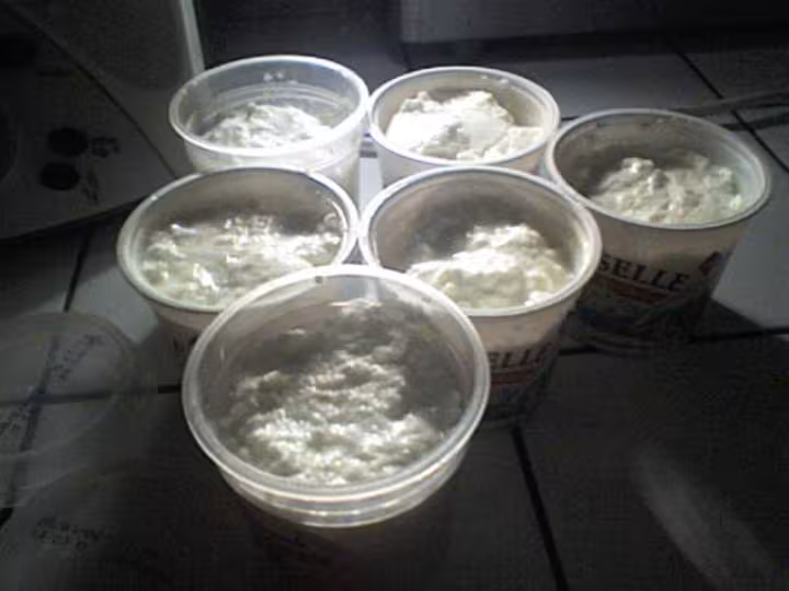 Fromages blancs maison