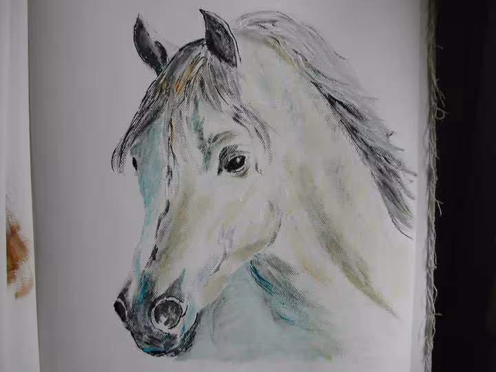 A nouveau une tete de cheval