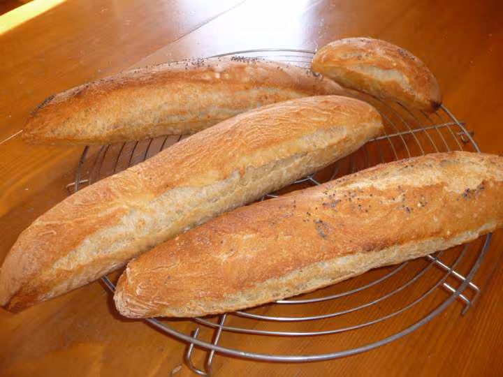 Baguettes faites avec la recette du pain lahey
