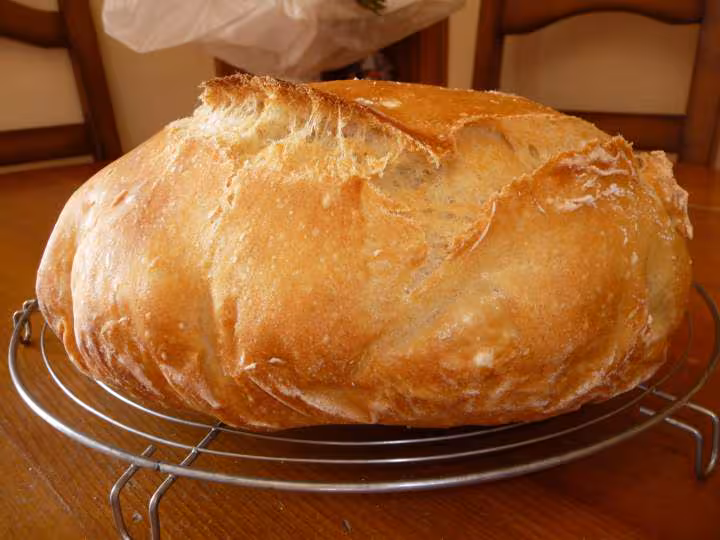 Il est beau et en plus il est bon